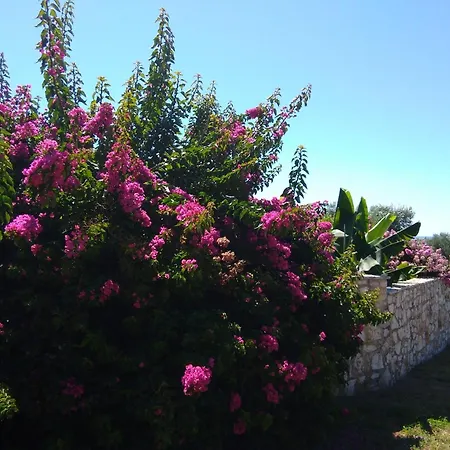 Villa Nephelie